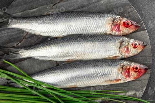 Preview: herring fish fresh seafood tasty eating cooking meal food snack on the table copy space food