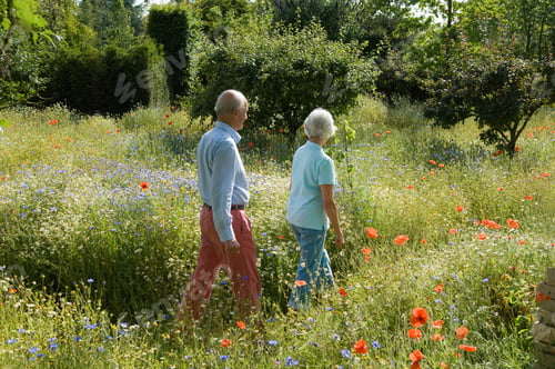 Preview: Older couple walking in field of flowers