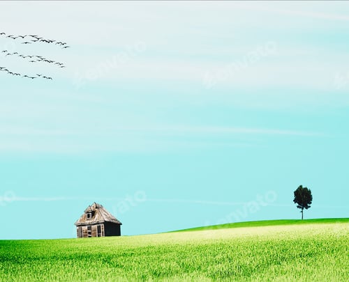 Preview: Green