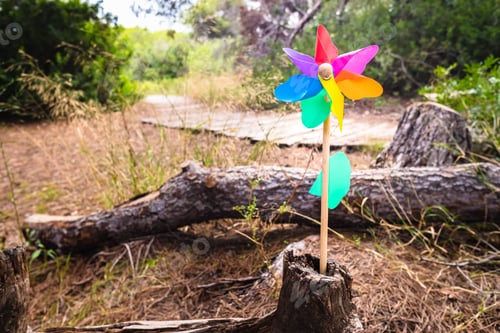 Preview: Children's toy pinwheel on a path in a forest, concept of good direction with copy space.