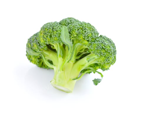 Preview: Broccoli isolated on white background