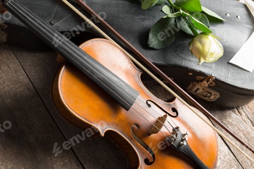 Preview: Violin and rose on black background.