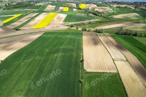 Preview: Colorful patterns in crop fields at farmland, aerial view, drone photo