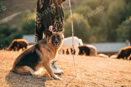 Preview: The dog sits with its owner on the lawn