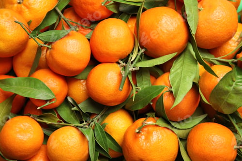 Preview: Many ripe tangerines with leaves as background, top view