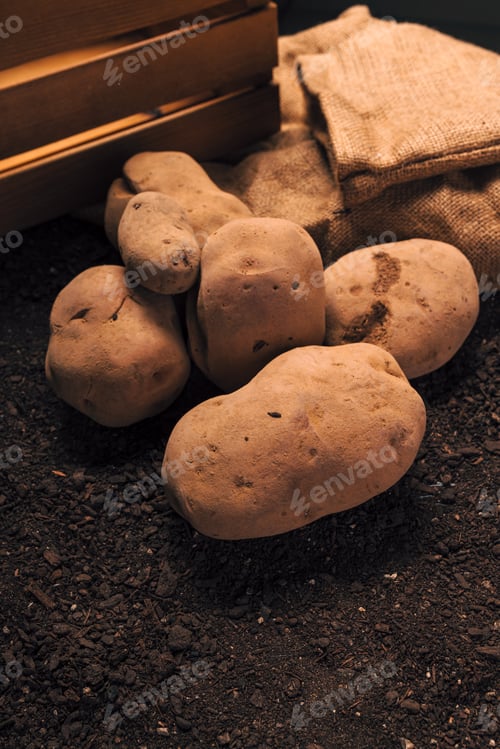 Preview: Organic potato tuber pile