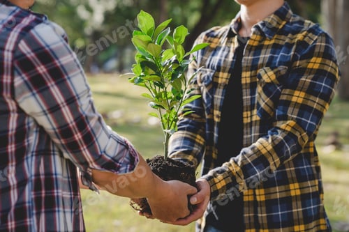 Preview: Two men planting a tree concept of world environment day planting forest, nature, and ecology A youn