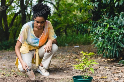 Preview: volunteer worker girl planting trees in the park, conservation concept, focus on plant