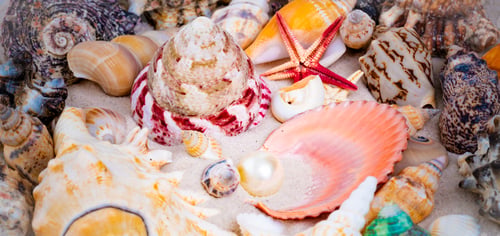 Preview: Treasure from the sea11c