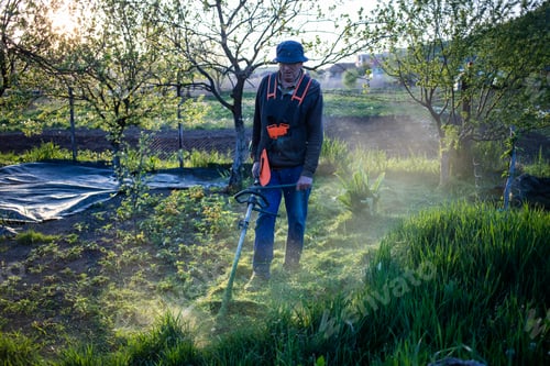 Preview: mowing a lawn with lawn mower