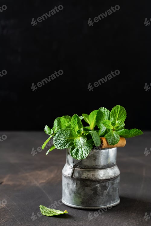 Preview: Mint leaves, fresh bouquet of mint in an old rustic bucket vase on an old dark background