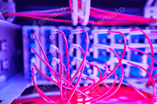 Preview: Many network cables plugged into ports of network switch