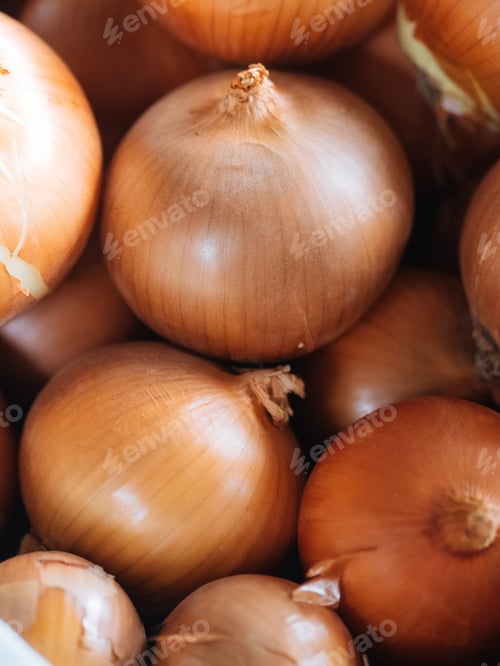 Preview: view of group of onions
