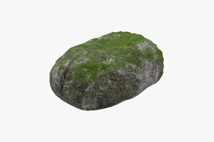 Preview: Moss Covered Rock