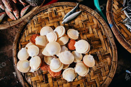 Preview: cockle and clam raw sea food at asian street market