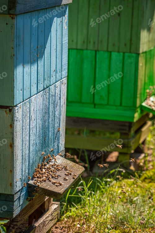 Preview: Handcraft beehives in a rural settlement. Natural and ecological beekeeping.