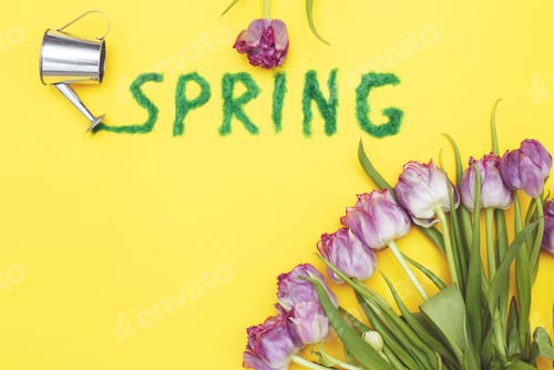 Preview: The inscription Spring from decorative green grass on a yellow background