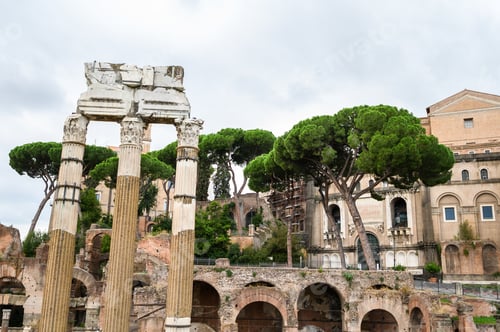 Preview: Ruins of the Roman forum. The historical open-air museum. Rome, Italy