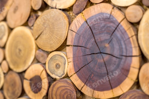 Preview: rown and yellow crackled stumps background