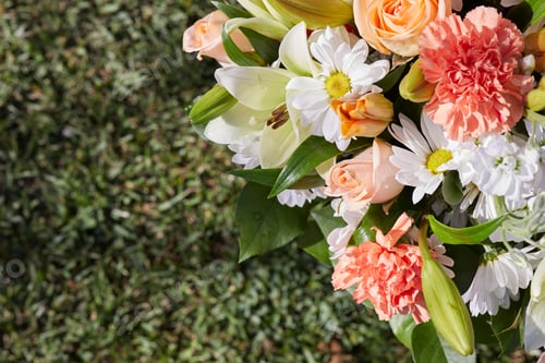Preview: Beautiful fresh flowers at the Garden