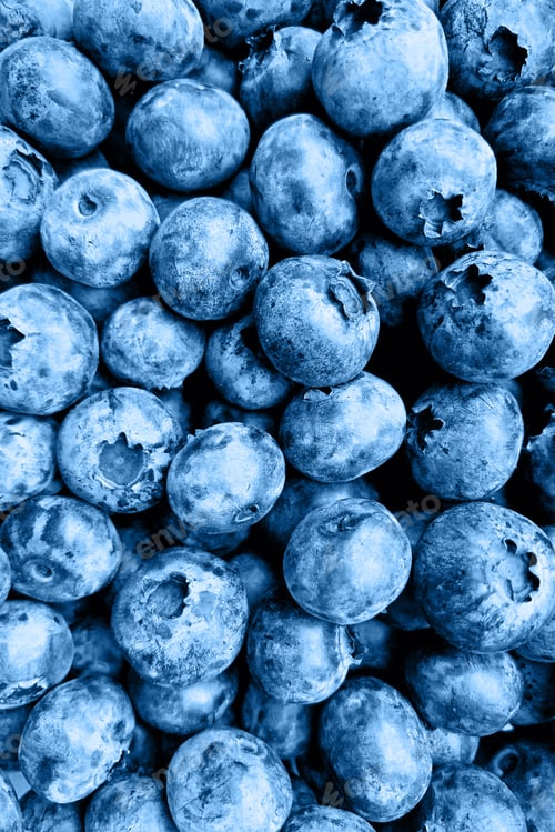 Preview: Natural background with fresh blueberries classic blue color. Healthy food for wellbeing and diet