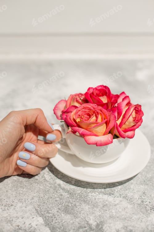 Preview: Beautiful fresh roses of pink color with drops of dew in a white scab on a gray concrete background
