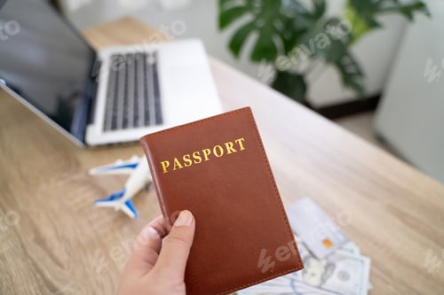 Preview: Woman booking tickets online. searching buying booking flights ticket airlines