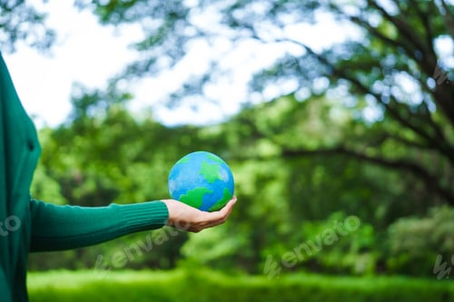 Preview: A male hand holds a hammer, symbolizing the enforcement of tree conservation laws. This highlights