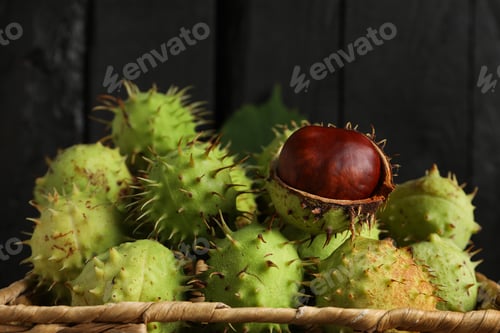Preview: Green chestnut fruits in a wicker basket on a dark background