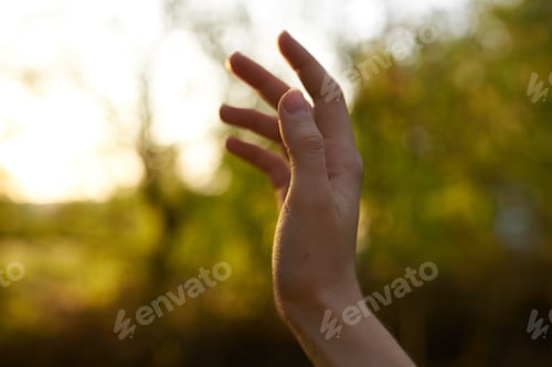 Preview: female hand nature park summer trees sun green grass