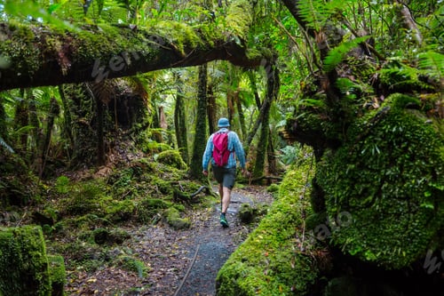 Preview: Tramping