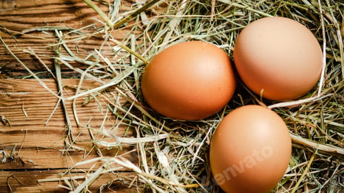 Preview: Chicken eggs on wooden table.