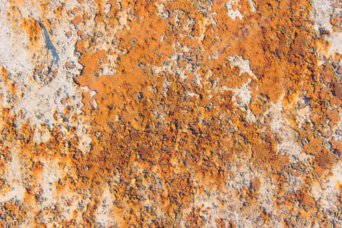 Preview: Grung Texture And Background