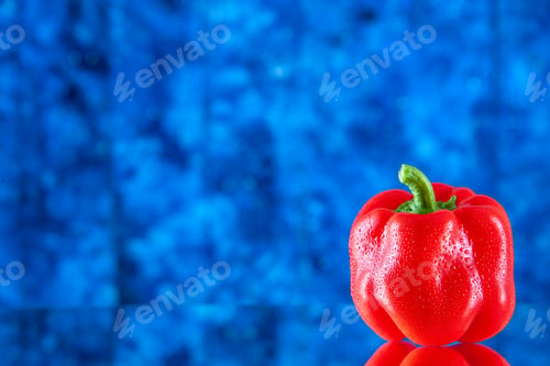 Preview: front view of sweet red pepper with water drops on blue background with copy place