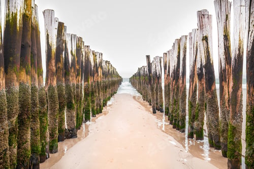 Preview: Wooden wave breaking installations in The North Sea, Zealand, The Netherlands