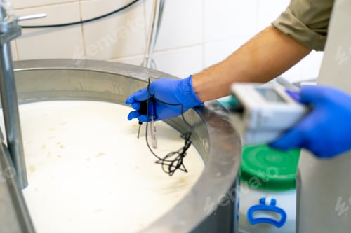 Preview: An employee measures the temperature of milk at a cheese factory using a professional device