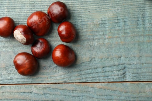 Preview: Many horse chestnuts on blue wooden table, flat lay. Space for text