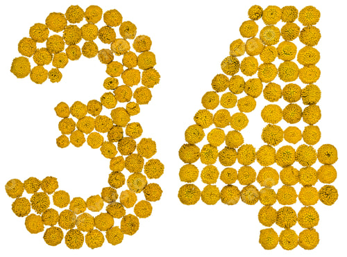 Preview: Arabic numeral 34, thirty four, from yellow flowers of tansy, isolated on white background