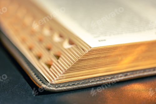 Preview: Open Bible on a black background. Religion concept. Bible pages close-up.