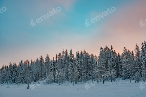 Preview: Dramatic sunset sky over snow covered winter forest and trees landscape, Yllasjarvi, Lapland, Finlan