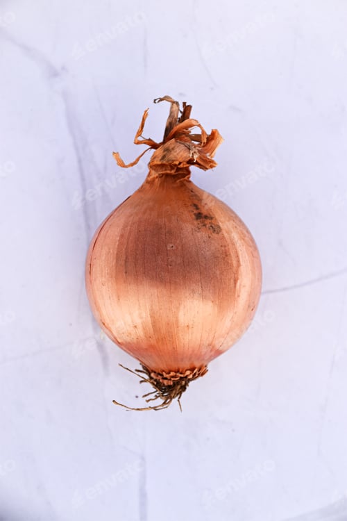 Preview: a single brown shiny onion on neutral background