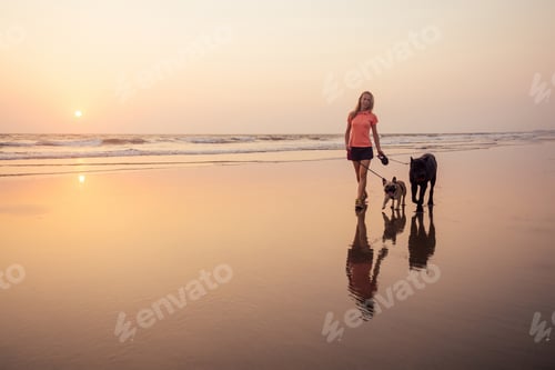 Preview: Happy woman with French Bulldog and Cone Corso walking and playing on india goa beach at sunset