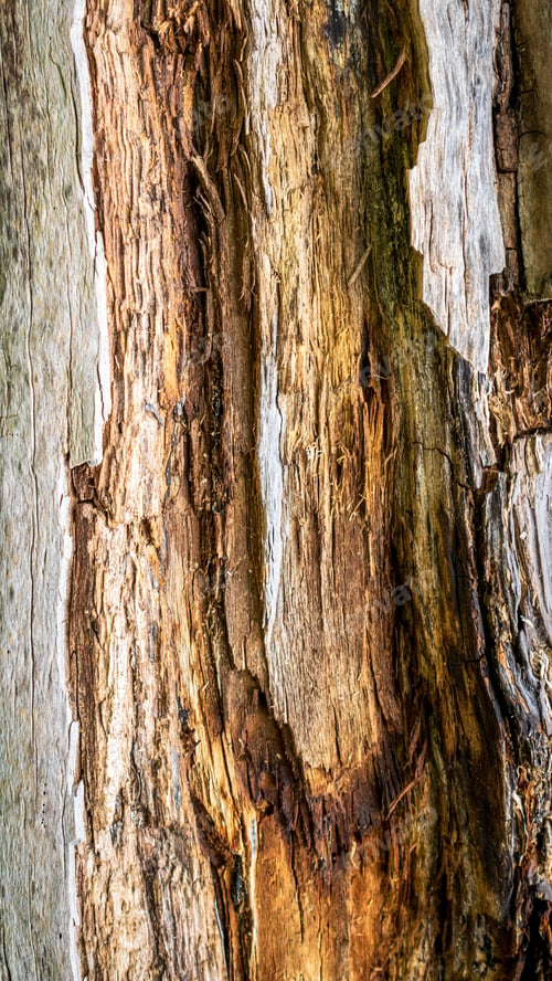 Preview: old cracked wood with visible details