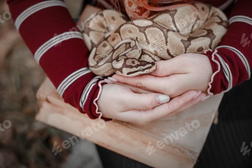 Preview: A girl holds a snake in her hand
