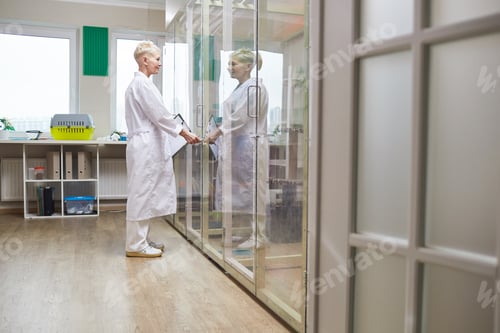 Preview: Vet doctor in vet clinic