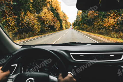 Preview: Man driving car on the country road in autumn.