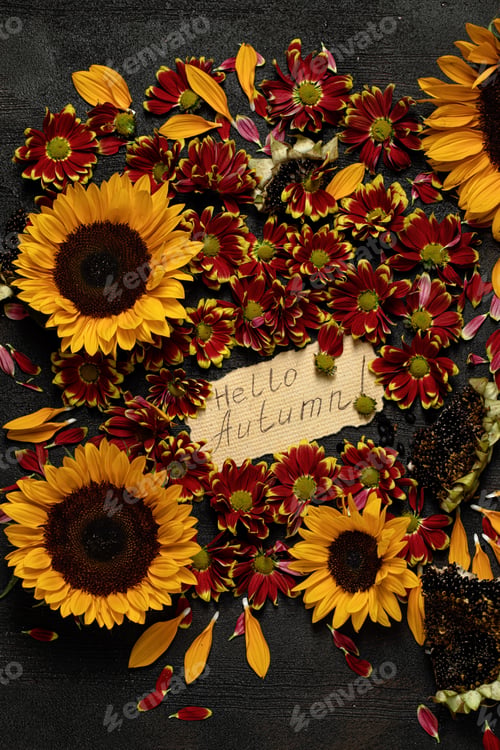 Preview: flat lay composition of sunflowers and red chrysanthemums with the inscription "autumn" on a dark