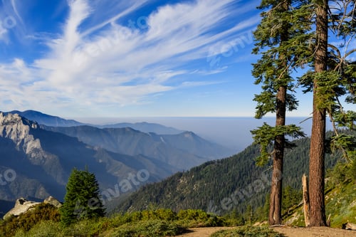 Preview: Landscape in Sequoia National Park