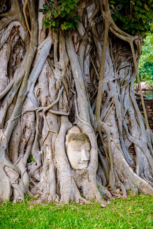 Preview: Ayutthaya, Thailand at Wat Mahathat, Temple stupa in the morningvisiting Ayyuthaya Thailand
