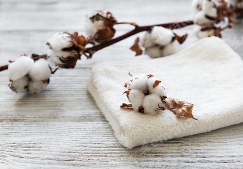 Preview: cotton flower and towel